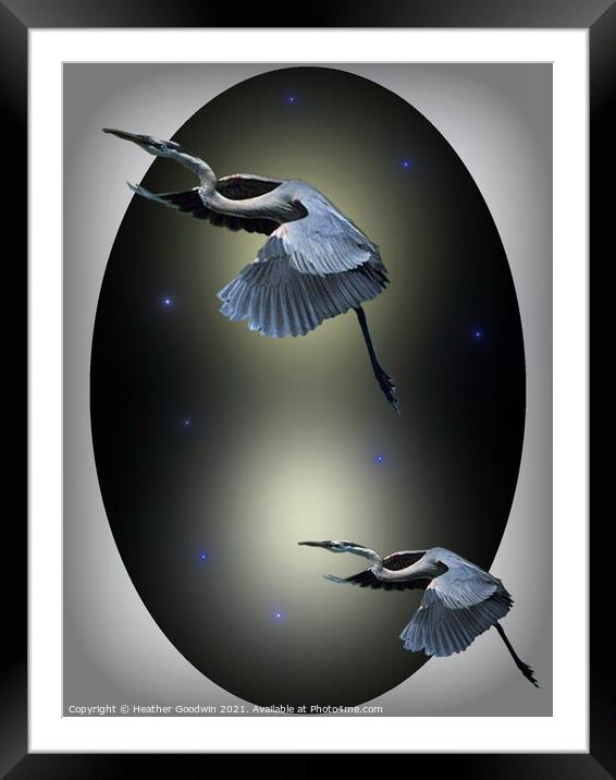Heron Escape Framed Mounted Print by Heather Goodwin