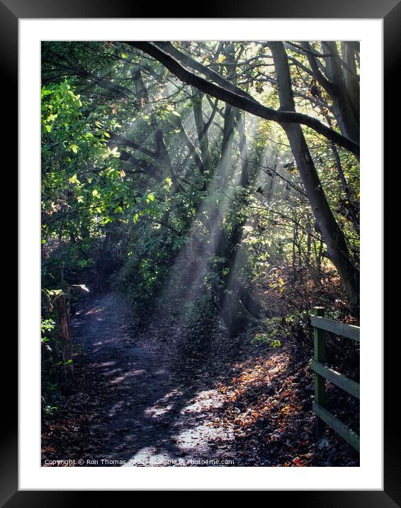 Eastham Woods Walk Framed Mounted Print by Ron Thomas