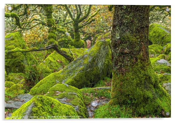 Stunted Oaks Wistmans Wood Dartmoor Devon in Autum Acrylic by Nick Jenkins