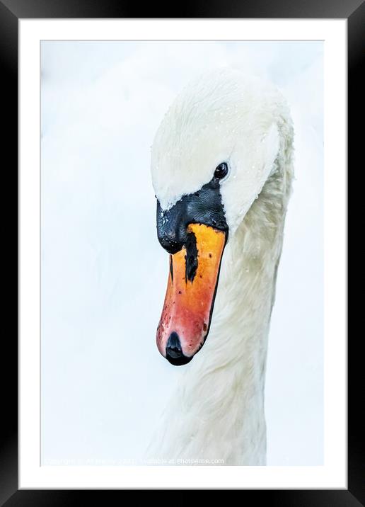 Abstract swan Framed Mounted Print by Ali Marley