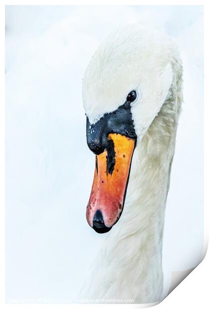 Abstract swan Print by Ali Marley