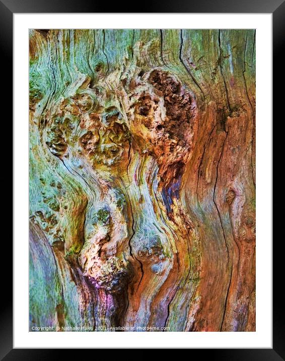 Tree Bark Framed Mounted Print by Nathalie Hales
