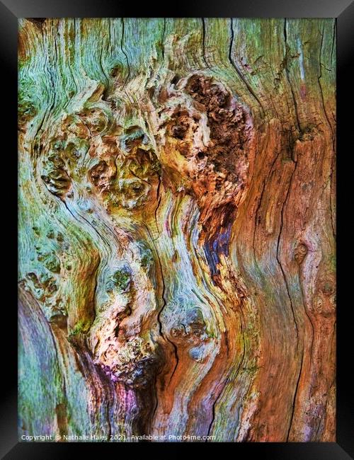 Tree Bark Framed Print by Nathalie Hales