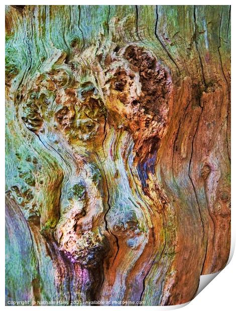 Tree Bark Print by Nathalie Hales