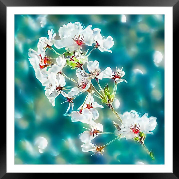 CHERRY BLOSSOM Framed Mounted Print by LG Wall Art