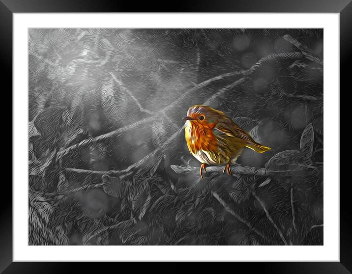 ROBIN SOAKING UP THE LIGHT Framed Mounted Print by LG Wall Art