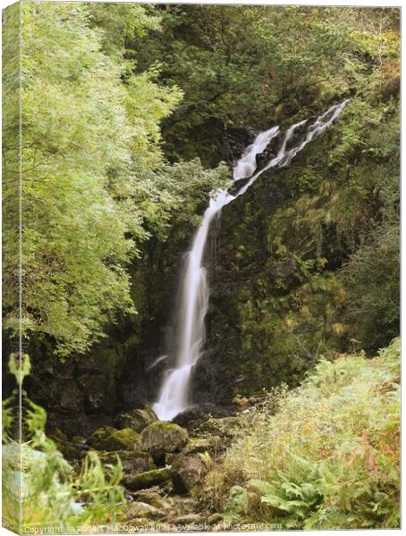 Grey Mare's Tail, near Newton Stewart, Dumfries and Galloway Canvas Print by Robert MacDowall