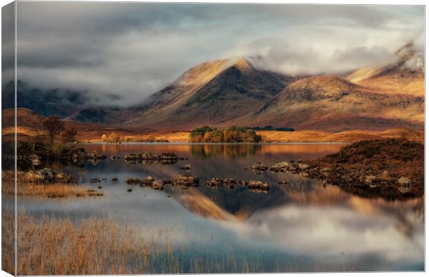 Rannoch Moor and the The Black Mount at Sunrise Canvas Print by Miles Gray