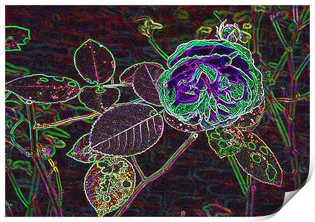 Digital Rose Print by Trevor Kersley RIP