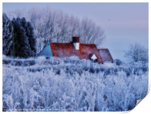 home for winter Print by carl blake