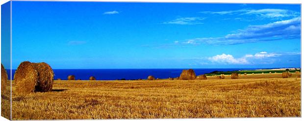 Harvest time Canvas Print by Sean Wareing