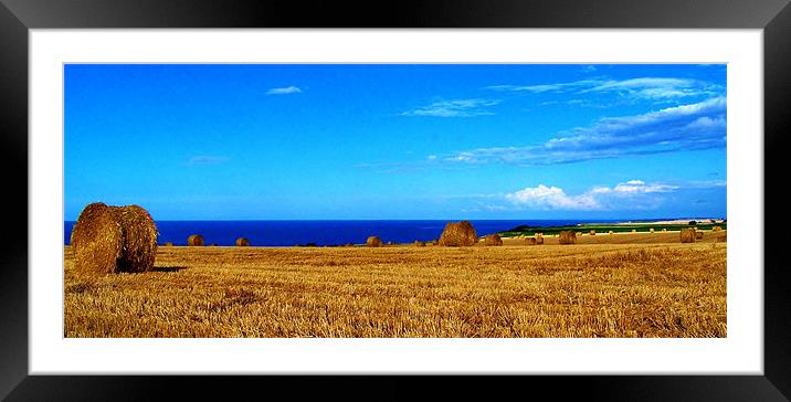 Harvest time Framed Mounted Print by Sean Wareing