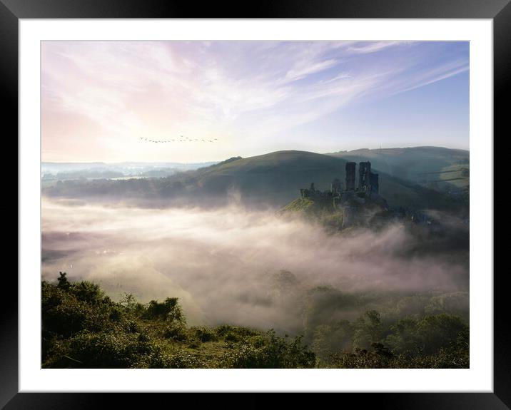 Fresh New Day at Corfe Castle Framed Mounted Print by David Neighbour