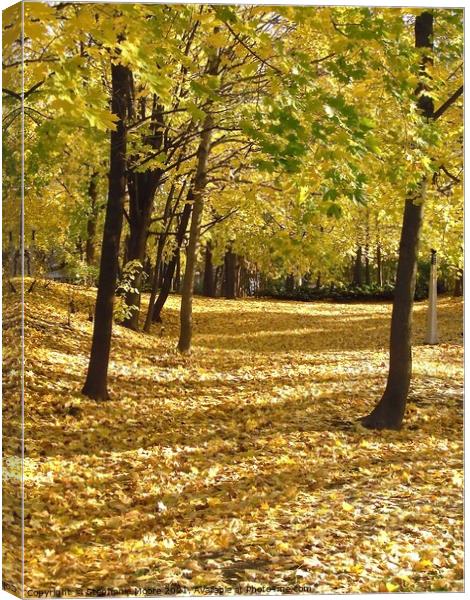 Golden Leaves Canvas Print by Stephanie Moore