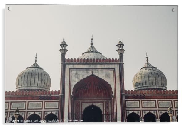 Jama Masjid in Delhi Acrylic by Sanga Park