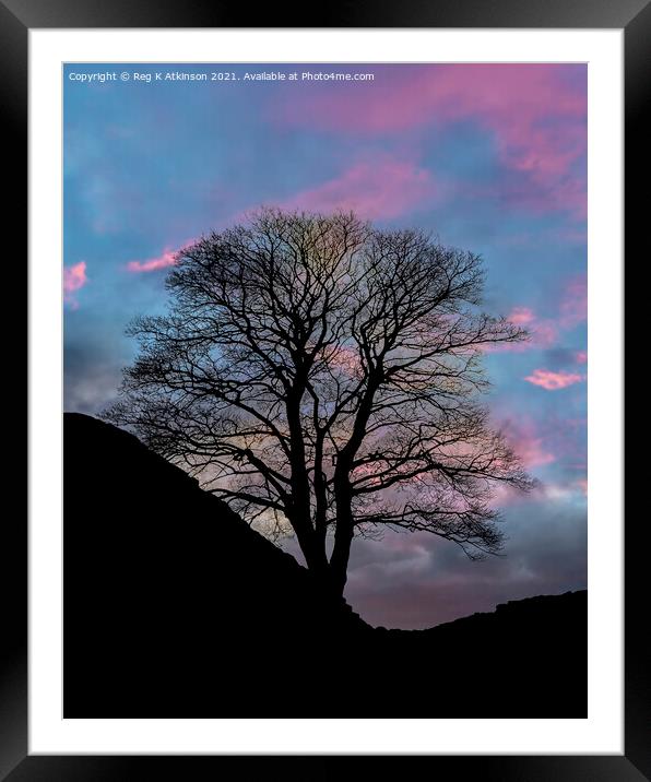 Sycamore Gap Sunset Framed Mounted Print by Reg K Atkinson