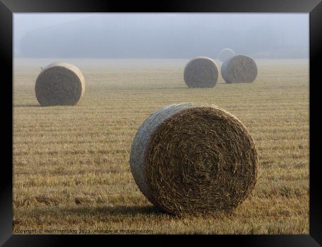 Hay bales in a misty field Framed Print by Paul Trembling
