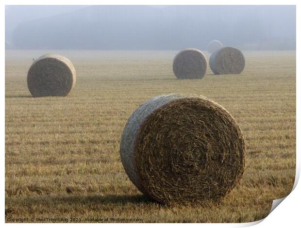 Hay bales in a misty field Print by Paul Trembling