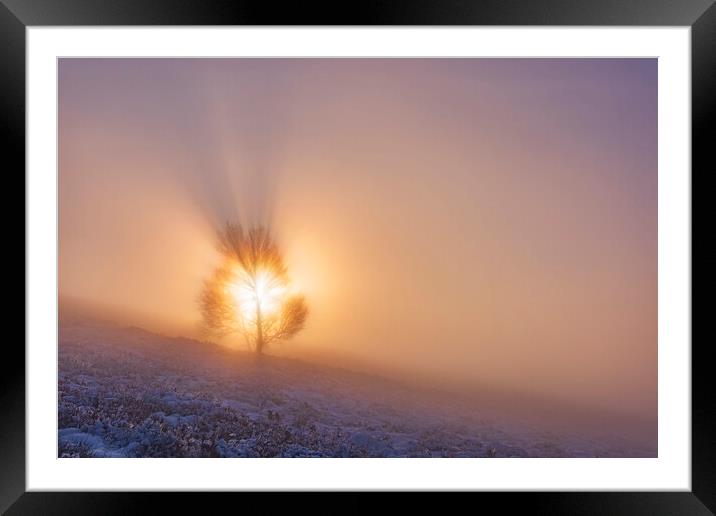 The Tree of Life. Peak District sunrise Framed Mounted Print by John Finney