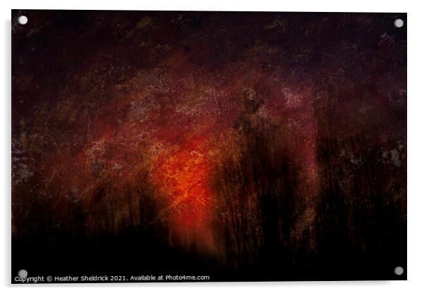 Blazing Sunset with Trees Acrylic by Heather Sheldrick
