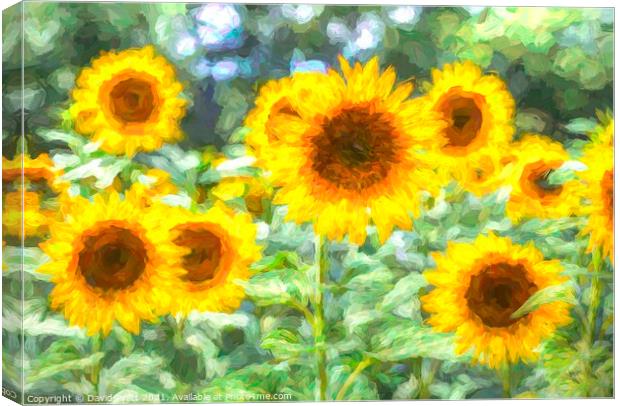 Summer Sunflower Art Canvas Print by David Pyatt