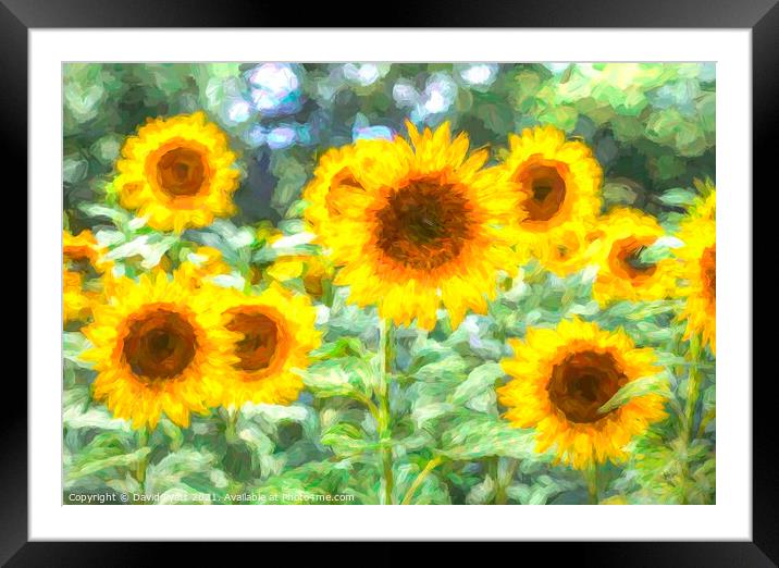 Summer Sunflower Art Framed Mounted Print by David Pyatt