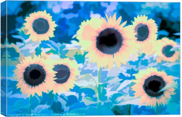 Sunflower Blue Art Canvas Print by David Pyatt