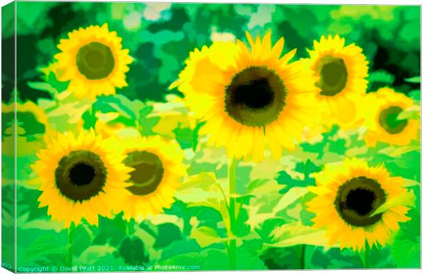 Sunflowers Green Art Canvas Print by David Pyatt