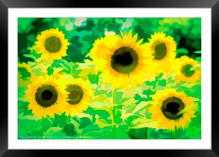 Sunflowers Green Art Framed Mounted Print by David Pyatt
