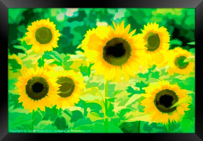 Sunflowers Green Art Framed Print by David Pyatt