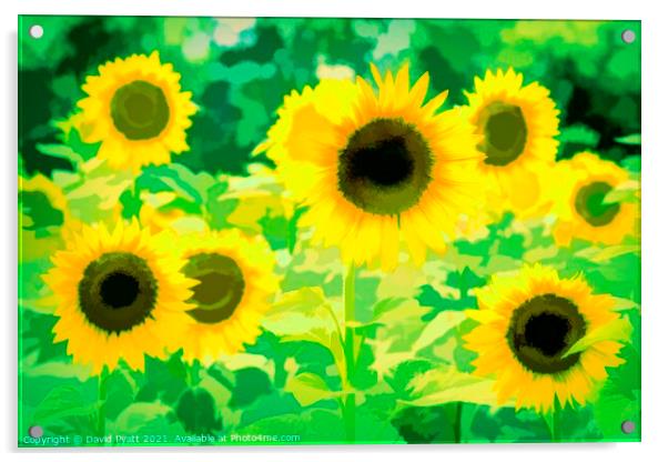 Sunflowers Green Art Acrylic by David Pyatt