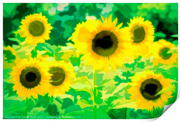 Sunflowers Green Art Print by David Pyatt