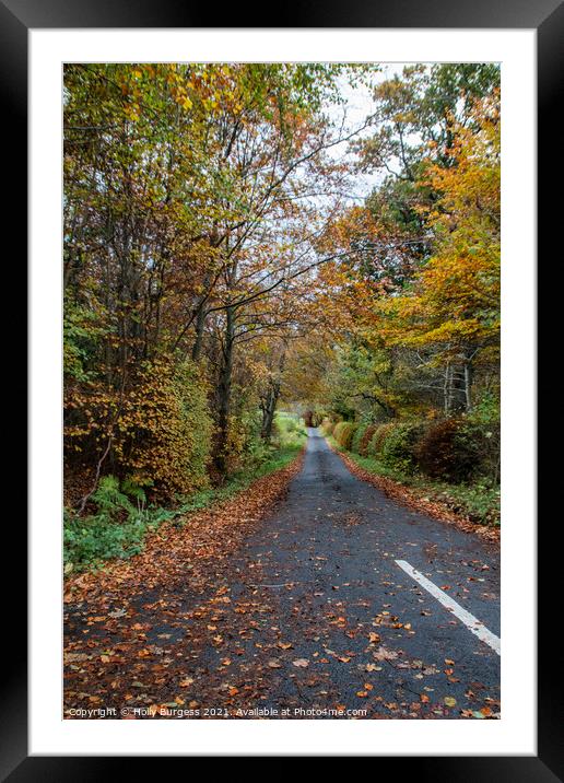 Kielder Forest Drive way in Autumn Northumberland  Framed Mounted Print by Holly Burgess