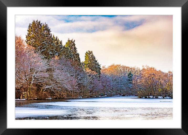 Frozen Coppice Pond Framed Mounted Print by Trevor Camp