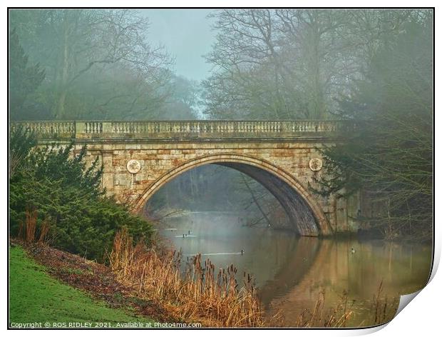 Winter foggy reflections at Lion Bridge Print by ROS RIDLEY