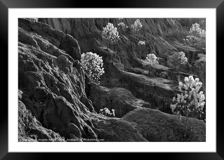 Cliff Pine Trees in Monochrome Framed Mounted Print by Angelo DeVal