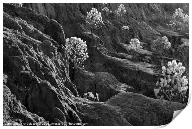 Cliff Pine Trees in Monochrome Print by Angelo DeVal