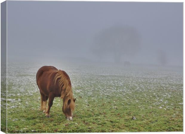 Pony grazing in the mist Canvas Print by Michelle Bowler