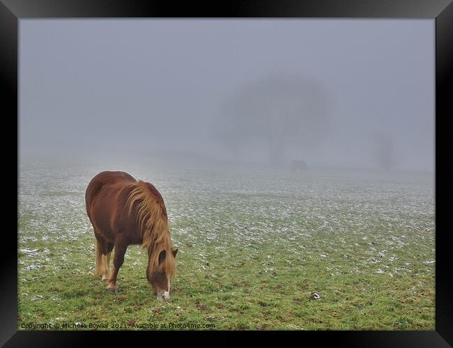 Pony grazing in the mist Framed Print by Michelle Bowler