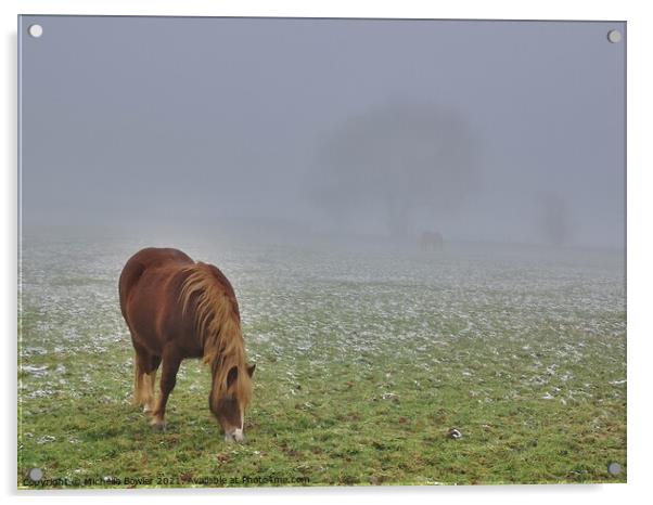 Pony grazing in the mist Acrylic by Michelle Bowler