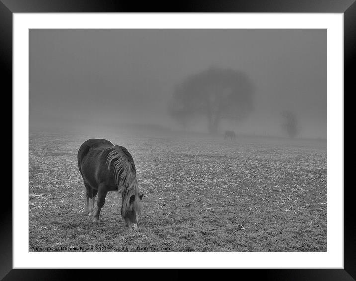 Black and white pony grazing in misty field Framed Mounted Print by Michelle Bowler