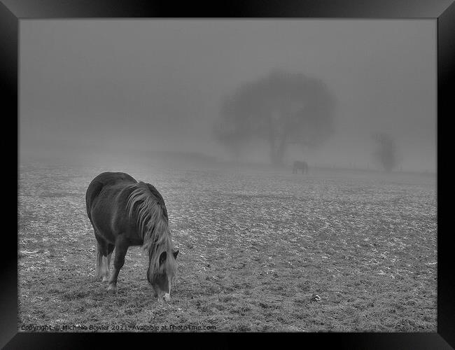 Black and white pony grazing in misty field Framed Print by Michelle Bowler