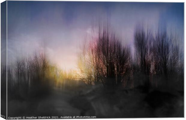 ICM Sunset with Tree Silhouettes Variation Canvas Print by Heather Sheldrick