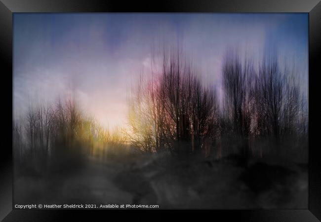 ICM Sunset with Tree Silhouettes Variation Framed Print by Heather Sheldrick