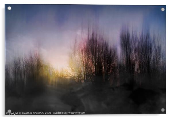 ICM Sunset with Tree Silhouettes Variation Acrylic by Heather Sheldrick