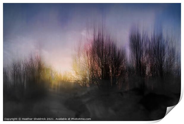 ICM Sunset with Tree Silhouettes Variation Print by Heather Sheldrick