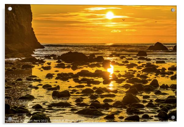 Colorful Yellow Haystack Rock Low Tide Pools Canon Beach Oregon Acrylic by William Perry