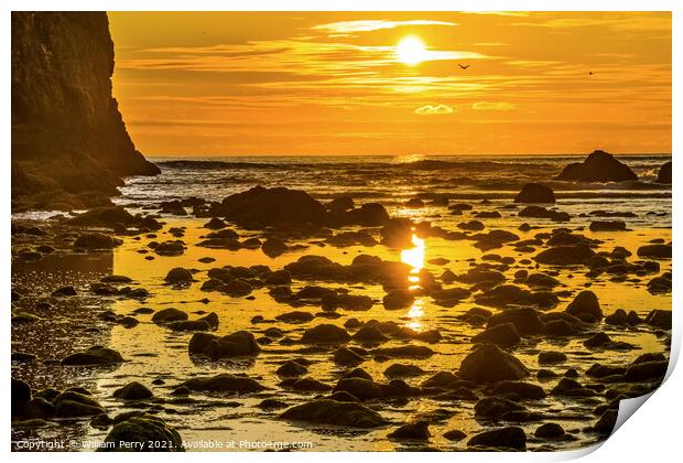 Colorful Yellow Haystack Rock Low Tide Pools Canon Beach Oregon Print by William Perry