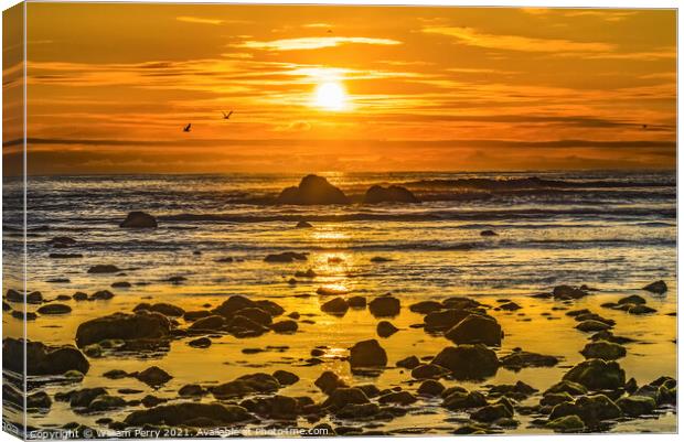 Colorful Yellow Low Tide Pools Canon Beach Oregon Canvas Print by William Perry