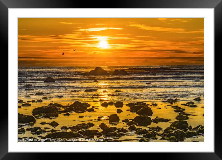 Colorful Yellow Low Tide Pools Canon Beach Oregon Framed Mounted Print by William Perry